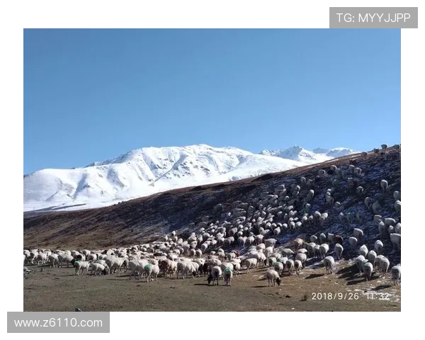 ✅体育直播🏆世界杯直播🏀NBA直播⚽今天起新疆独库公路正式封闭sports