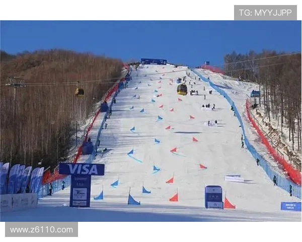 世界杯单板滑雪场（世界杯单板滑雪场有哪些）sports